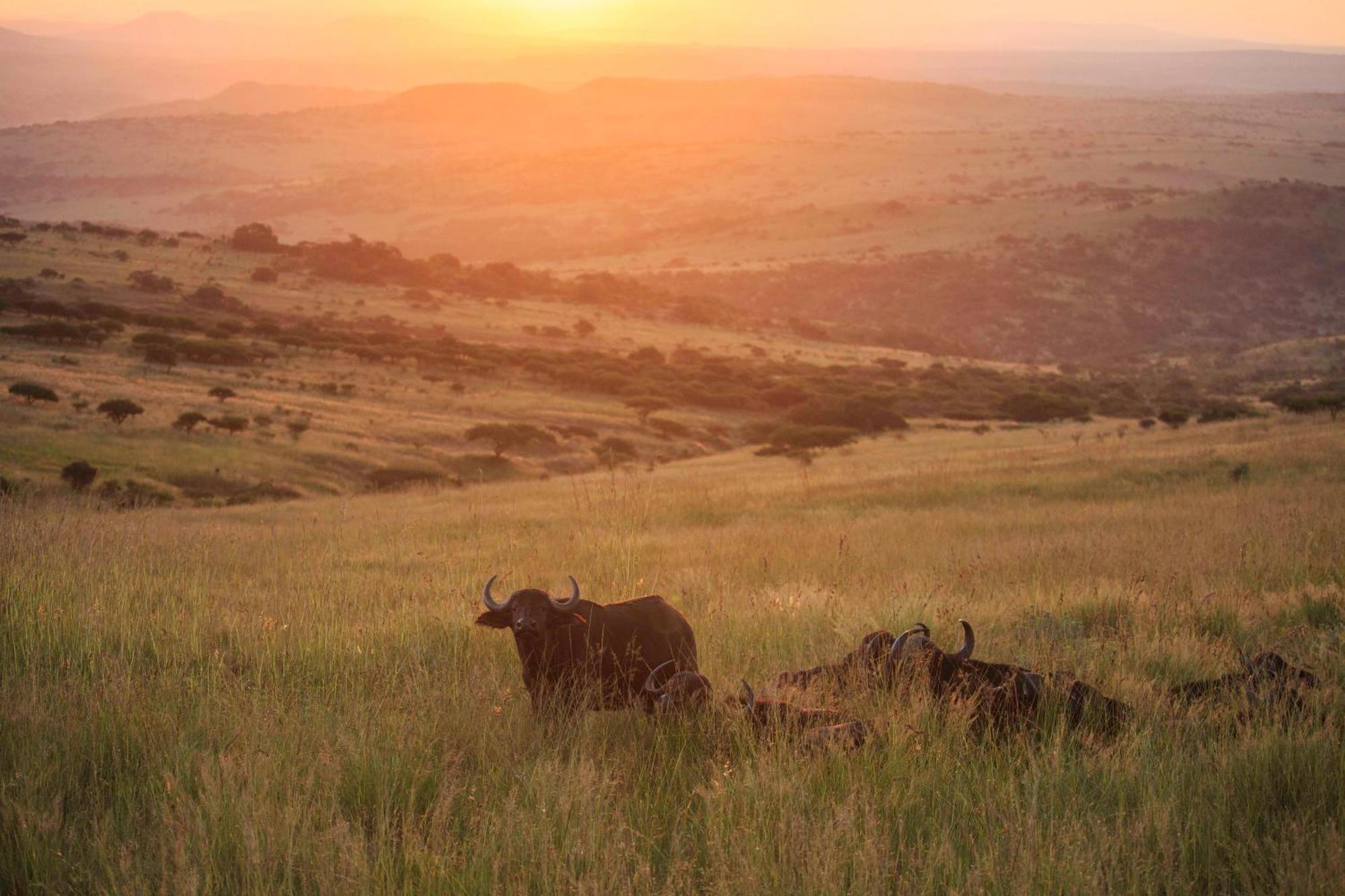 Valley Lodge - Babanango Game Reserve Dundee Exteriér fotografie